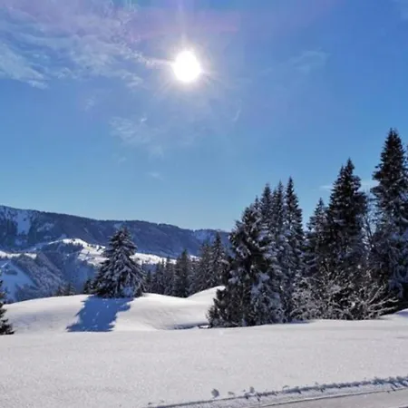 Gipfelglueck 931 Mit Hallenbad Und Sauna Appartement