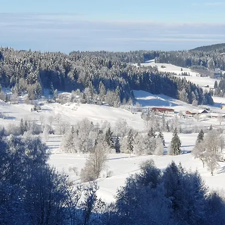 Gipfelglueck 931 Mit Hallenbad Und Sauna 公寓 米森-维尔哈姆斯